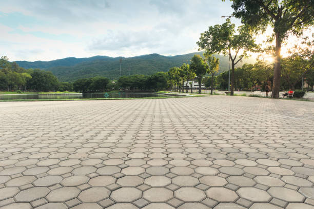 Best Driveway Paver Sealing  in Point, TX